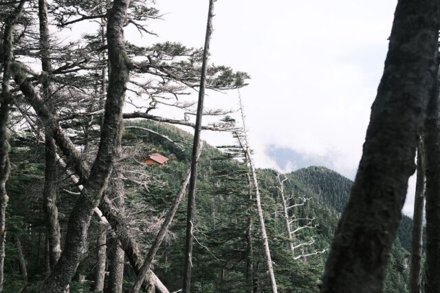 ⁂

赤石小屋、ちょいちょい可愛くて素敵でした。

２０２３.９.７－９.１１
荒川三山・赤石岳

#荒川三山
#赤石岳
#赤石小屋
#南アルプス
#南アルプス南部
#日本アルプス
#日本百名山
#登山ツアー添乗員
#山が好き
#自然が好き
#ロングトレイルが好き
#縦走が好き
#花が好き
#山歩き
#山旅
#japanalps
#japantrail
#mountain