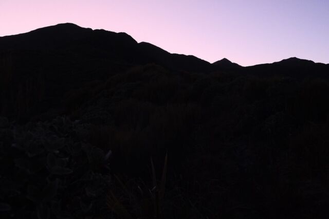 ⁂

くっきりと線が見える真っ黒な時間、好きです。

２０２３-２０２４
Te Araroa in NZ

#teararoa
#teararoanewzealand
#tararuaranges
#tararuaforestpark
#テアラロア
#テアラロアニュージランド
#ロングトレイル
#ロングディスタンスハイキング
#ロングトレイルハイカー
#山が好き
#自然が好き
#ロングトレイルが好き
#海外ロングトレイル
#山歩き
#山旅
#longtrail
#longdistancehiking 
#longtrailhiker
#trampingnewzealand 
#mountainhike
#hikenewzealand