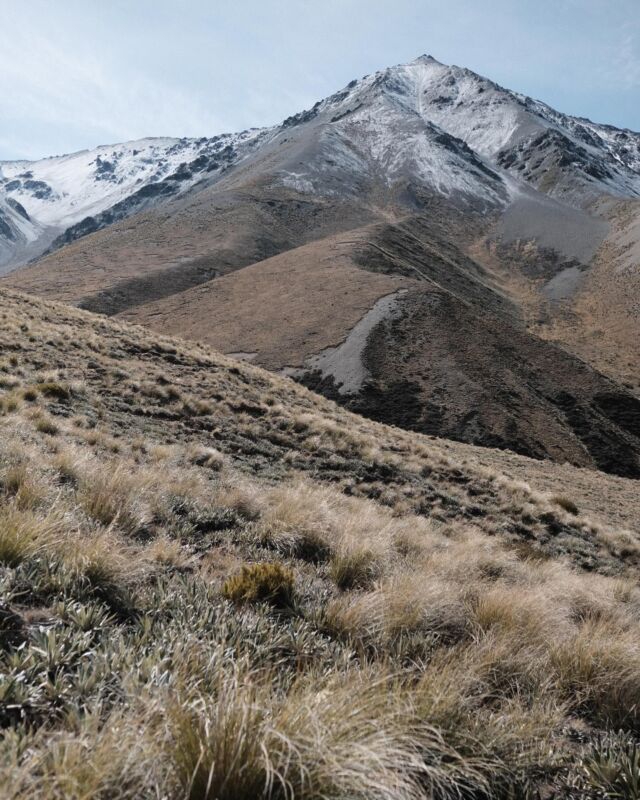⁂

ニュージーランドには道のないかっこいい山がたくさんある。

２０２３-２０２４
Te Araroa in NZ

#teararoa
#teararoanewzealand
#テアラロア
#テアラロアニュージランド
#ロングトレイル
#ロングディスタンスハイキング
#ロングトレイルハイカー
#山が好き
#自然が好き
#ロングトレイルが好き
#海外ロングトレイル
#山歩き
#山旅
#longtrail
#longdistancehiking 
#longtrailhiker
#trampingnewzealand 
#mountainhike
#hikenewzealand