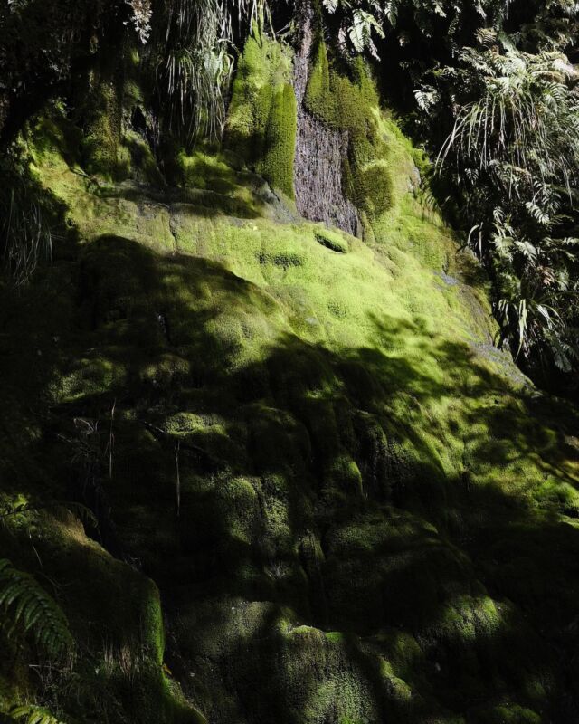 ⁂

苔の滝と大きな滝。

２０２３-２０２４
Te Araroa in NZ

#teararoa
#teararoanewzealand
#mountaspiringnationalpark
#routeburntrack
#gratewalk
#tahiker
#テアラロア
#テアラロアニュージランド
#ロングトレイル
#ロングディスタンスハイキング
#ロングトレイルハイカー
#山が好き
#自然が好き
#ロングトレイルが好き
#海外ロングトレイル
#山歩き
#山旅
#longtrail
#longdistancehiking 
#longtrailhiker
#trampingnewzealand 
#mountainhike
#hikenewzealand